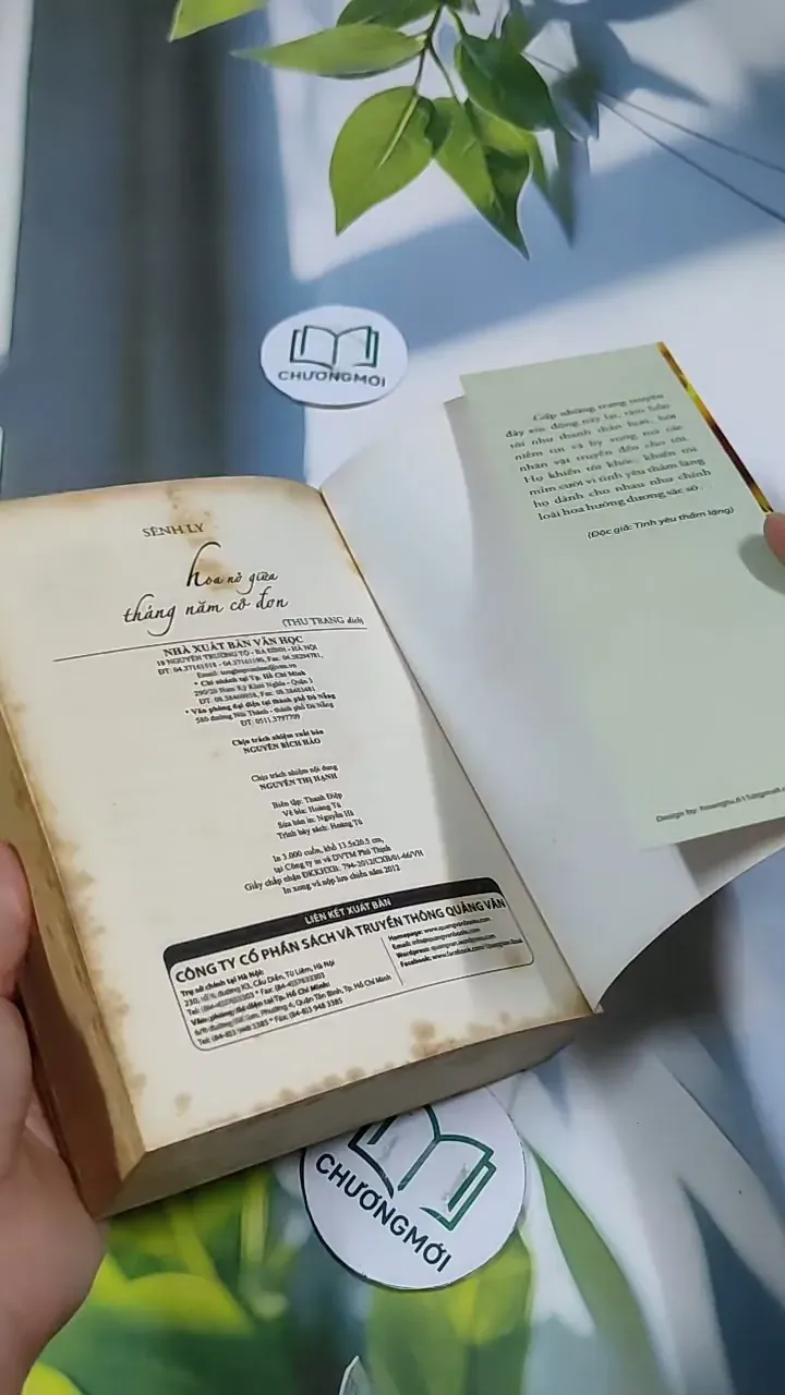 Hoa Nở Giữa Tháng Năm Cô Đơn - Sênh Lý 705743