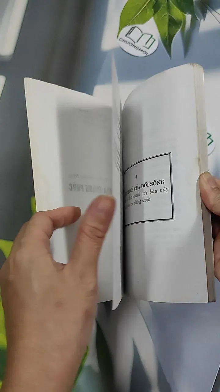 Chuyển Họa Thành Phúc - Lama Zopa Rinpoche 776148