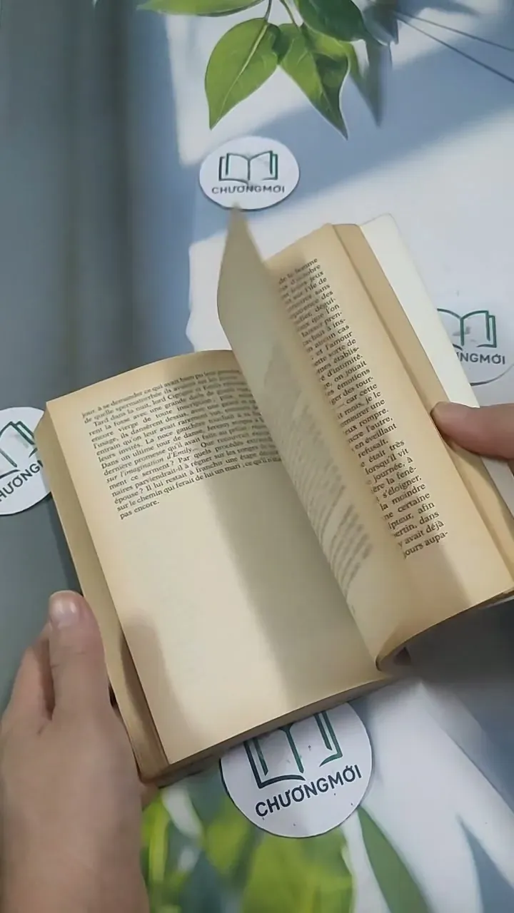 L'Île des Gauchers - Alexandre Jardin 715634