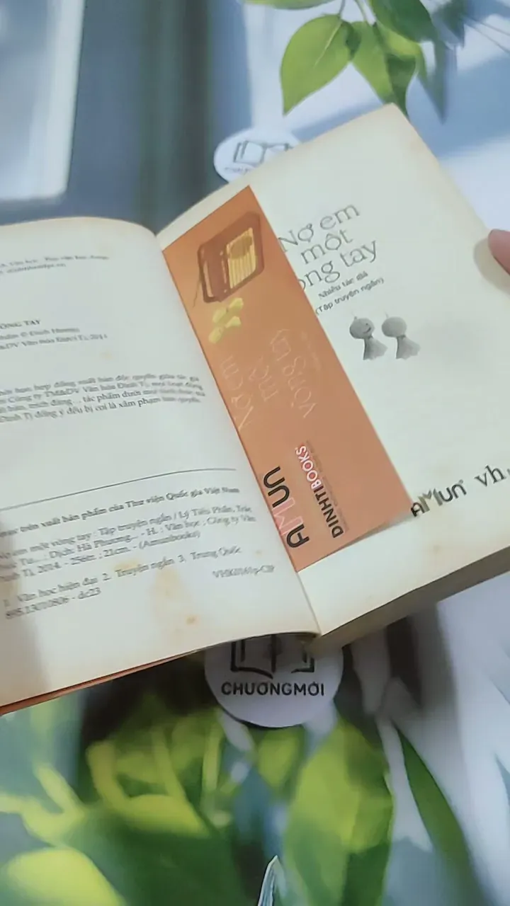 Nợ Em Một Vòng Tay 744713