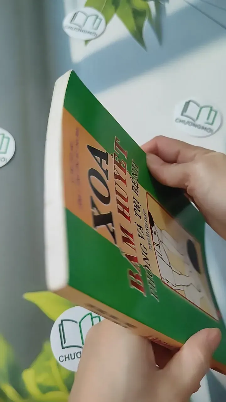 Xoa - Bấm Huyệt - Kỷ Anh & Định Công Bảy 780808