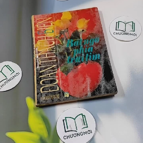 Bất Ngờ Phía Trái Tim - Đoàn Thạch Biền