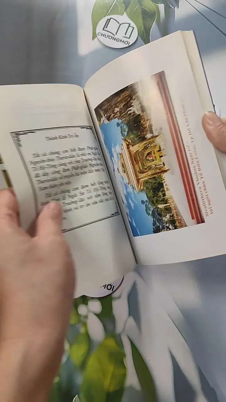 Tích Ngài Trưởng Lão Sivali - Phật Giáo Nguyên Thuỷ 775955