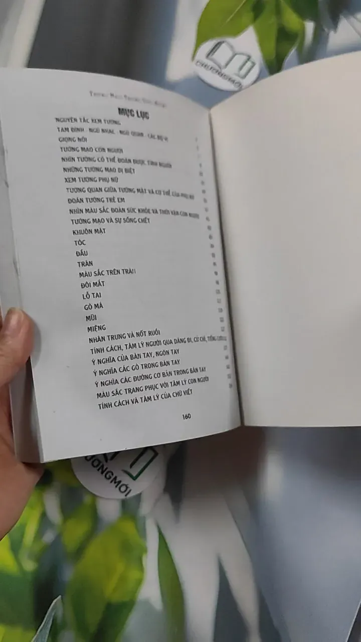 Tướng Mạo Trong Cuộc Sống - Thái Uyên & Hà Thiên 776128