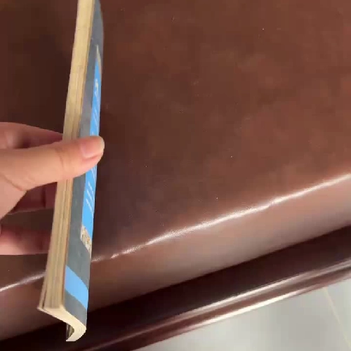 ĐẤU TRANH SINH TỒN- K5