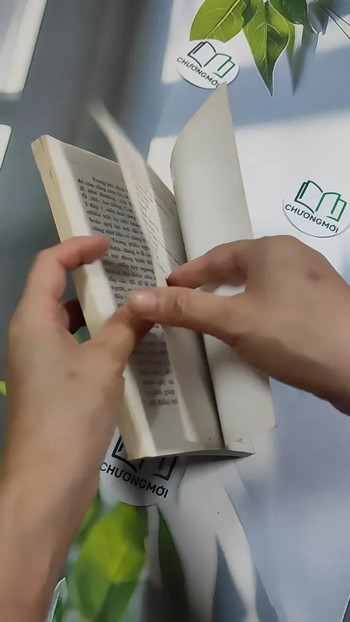 Phong Tục Nghi Lễ Thọ Mai Gia Lễ - Nguyên Quân - Hoàng Long 776189