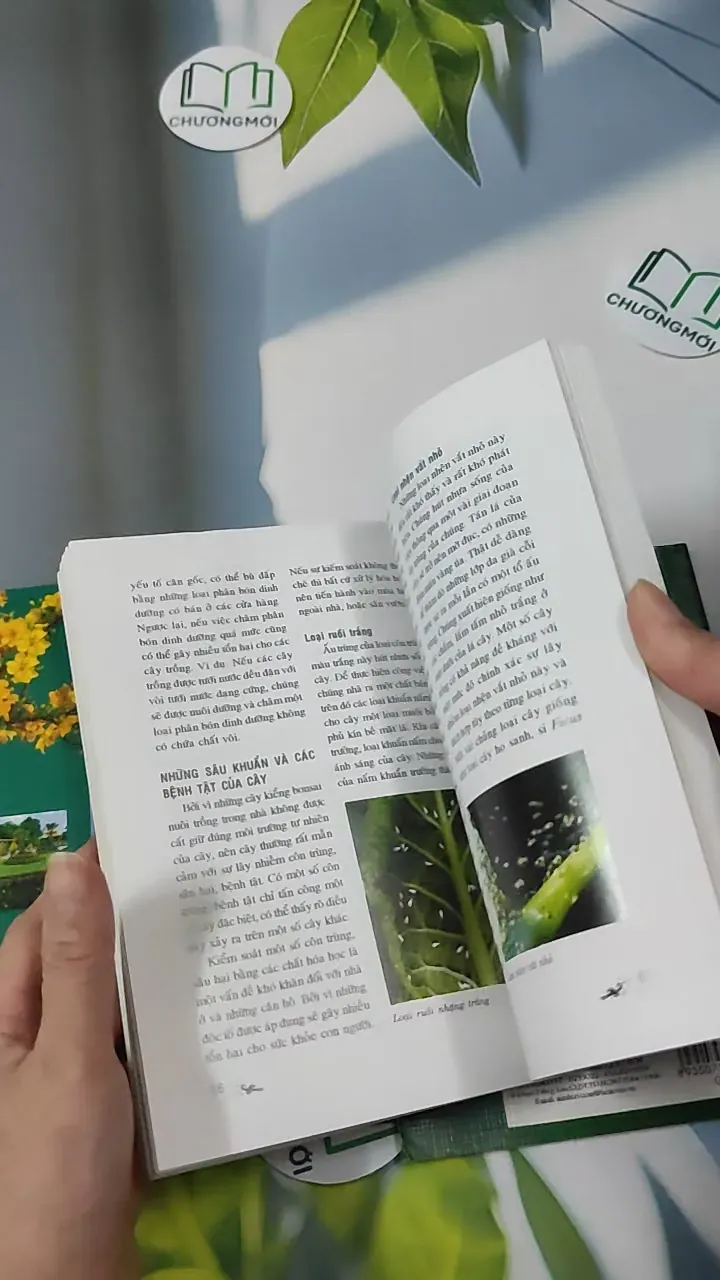 Combo Phương Pháp Trồng Hoa, Cây Kiểng Bonsai - Werner Busch & Phạm Thị Mỹ Hương 780858