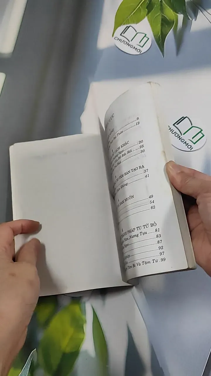 Chuyển Họa Thành Phúc - Lama Zopa Rinpoche 776148