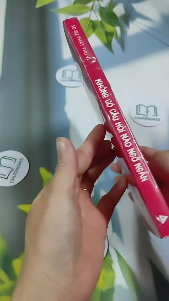 Không Có Câu Hỏi Nào Ngớ Ngẩn 705745