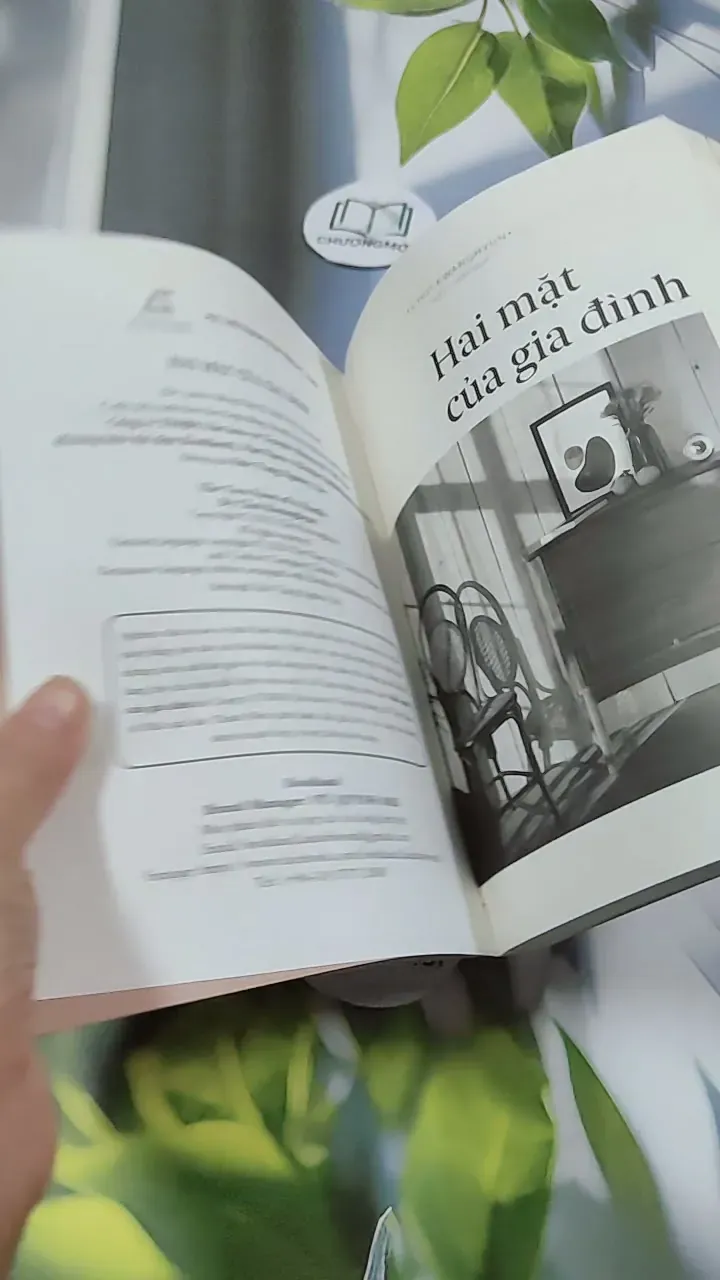 Hai Mặt Của Gia Đình - Choi Kwanghyun 744719