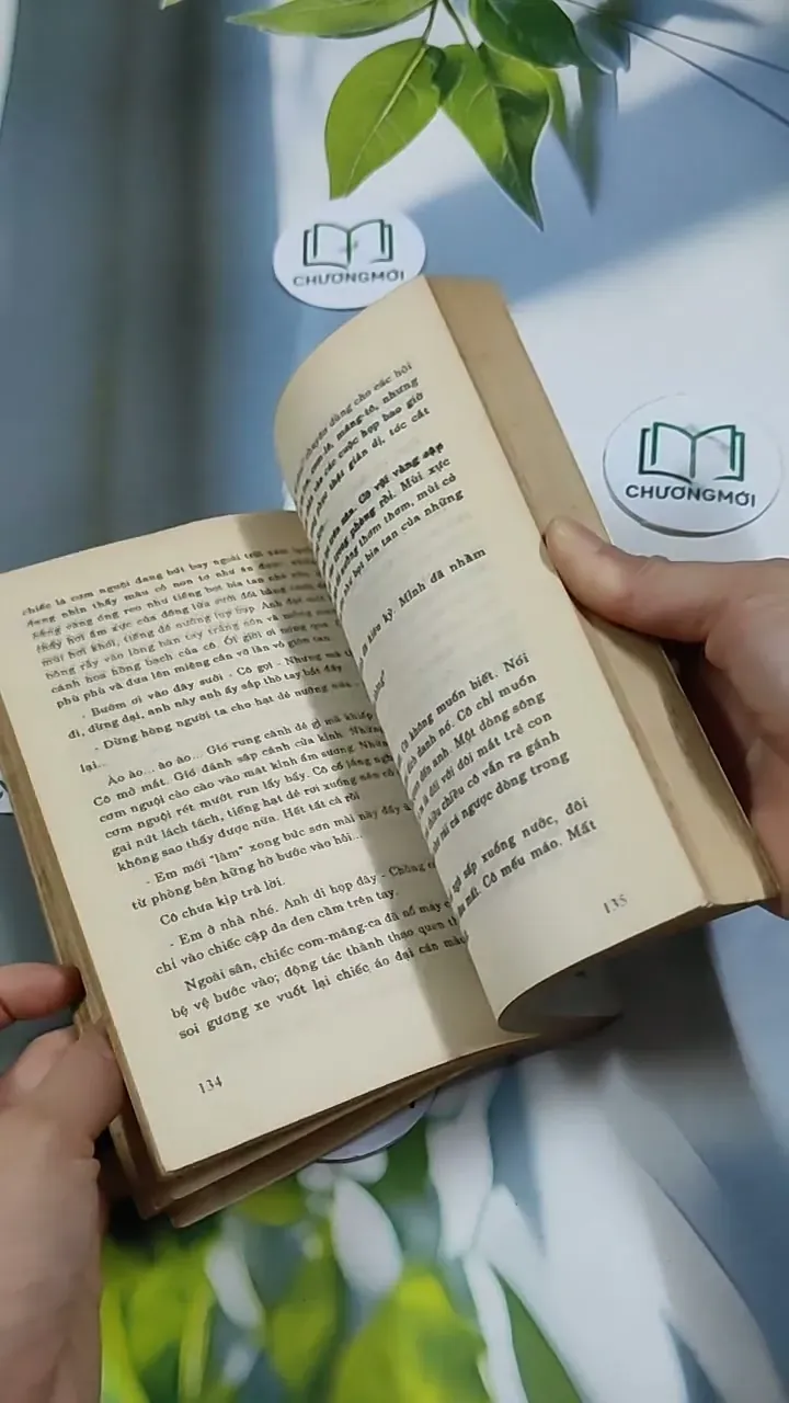 Hoa Hoàng Lan - Nguyễn Phan Hách 713866