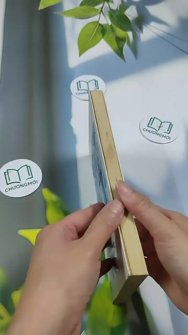 Đường Hai Ngã, Người Thương Thành Lạ - Anh Khang 705663