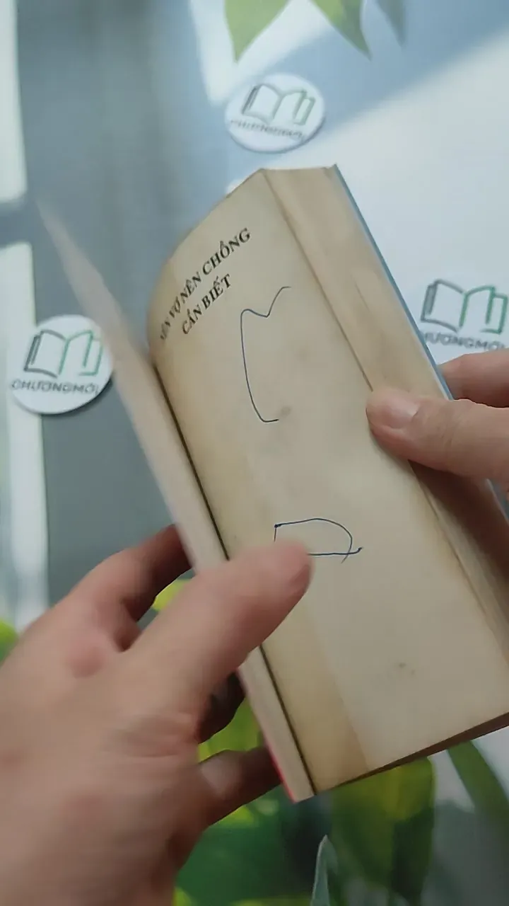 [XƯA] Nên Vợ Nên Chồng Cần Biết (1997) - Hải Thanh 787035