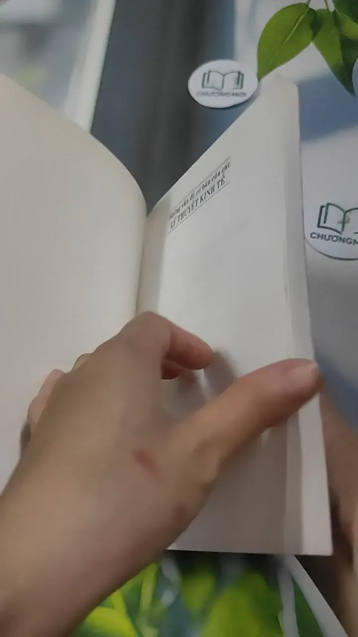 Những Vấn Đề Cơ Bản Của Những Lý Thuyết Kinh Tế - TS Đinh Sơn Hùng 727371