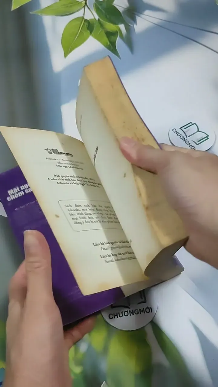 Mật Ngữ 12 Chòm Sao: Mật Ngữ Tình Yêu - MN12CS 707311