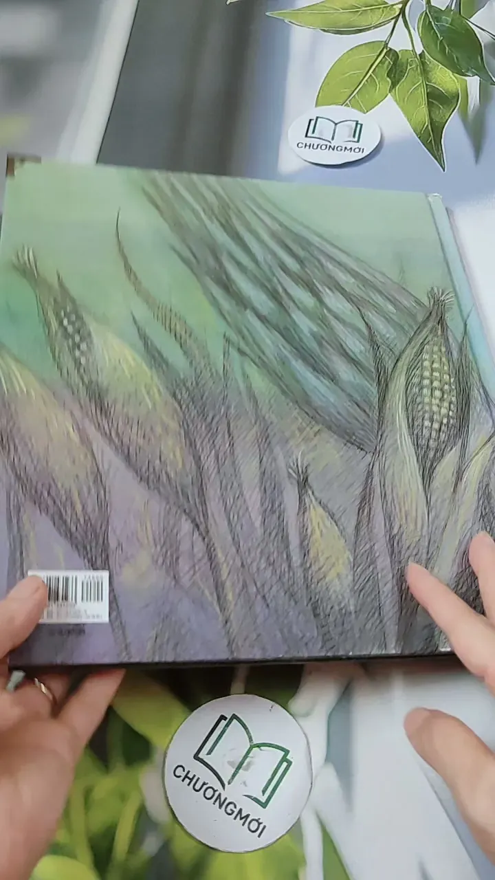 [Tặng nẹp góc] Truyện thiếu nhi Hàn Quốc: Moyamo Anu 23 -  모야모 아누와: 옥수수 도둑;. 회오리바람 732015