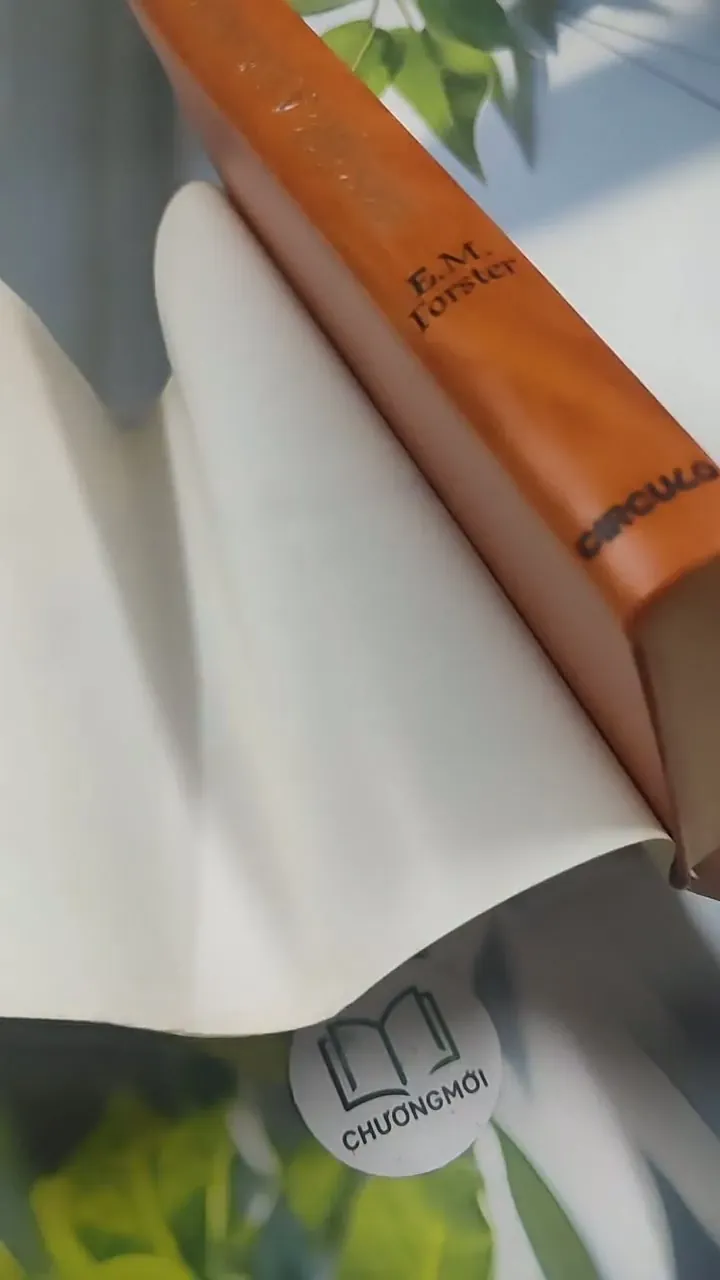 [MIỄN PHÍ BỌC SÁCH] Pasaje A La India - E. M. Forster 715624