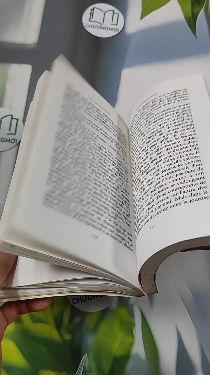 [MIỄN PHÍ BỌC SÁCH] Les Clairvoyantes - Kaye Gibbons 754523