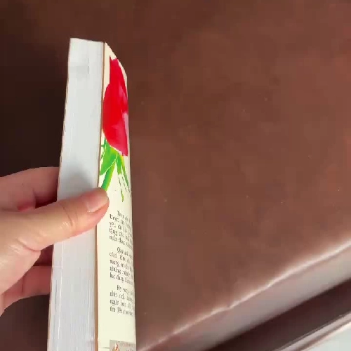 QUY LUẬT CỦA TÌNH YÊU – CHERIE CARTES SCOTT - K4