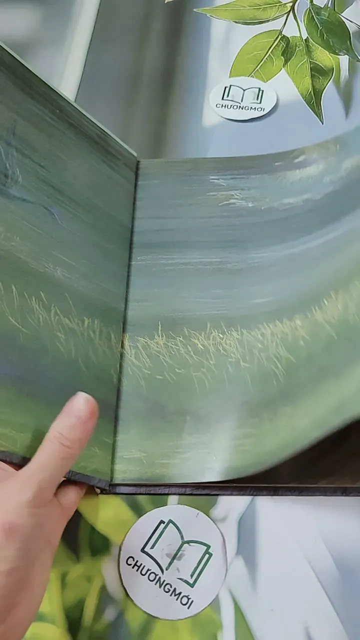 [Tặng nẹp góc] Truyện thiếu nhi Hàn Quốc: Moyamo Anu 23 -  모야모 아누와: 옥수수 도둑;. 회오리바람 732015