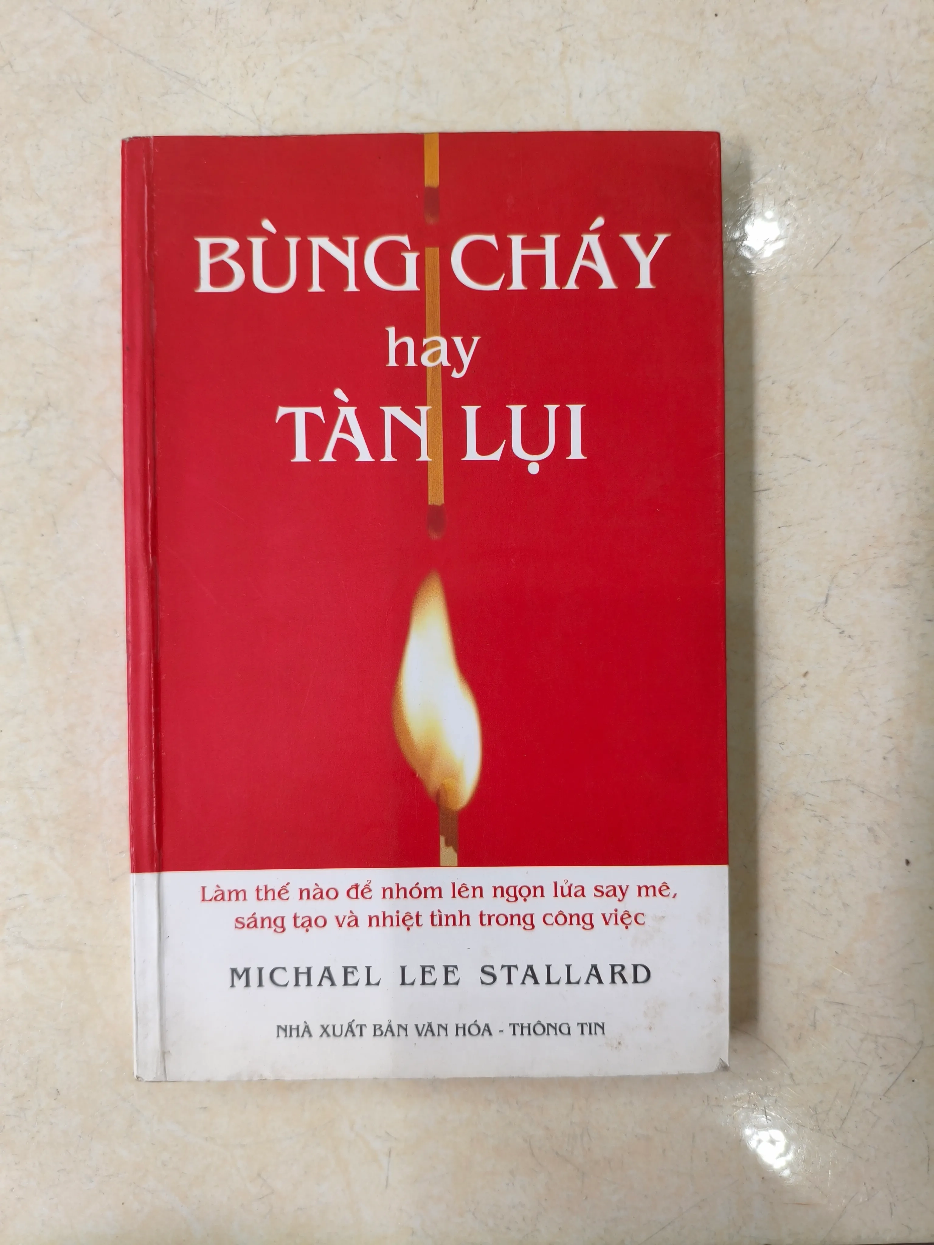 Bùng cháy hay tàn lụi 🌱 by  - Sách Book Cover - Ngọc Hiển Books
