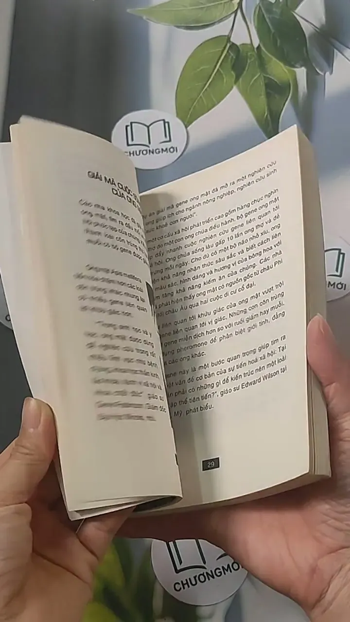 Bí ẩn mãi mãi là bí ẩn 3 688478