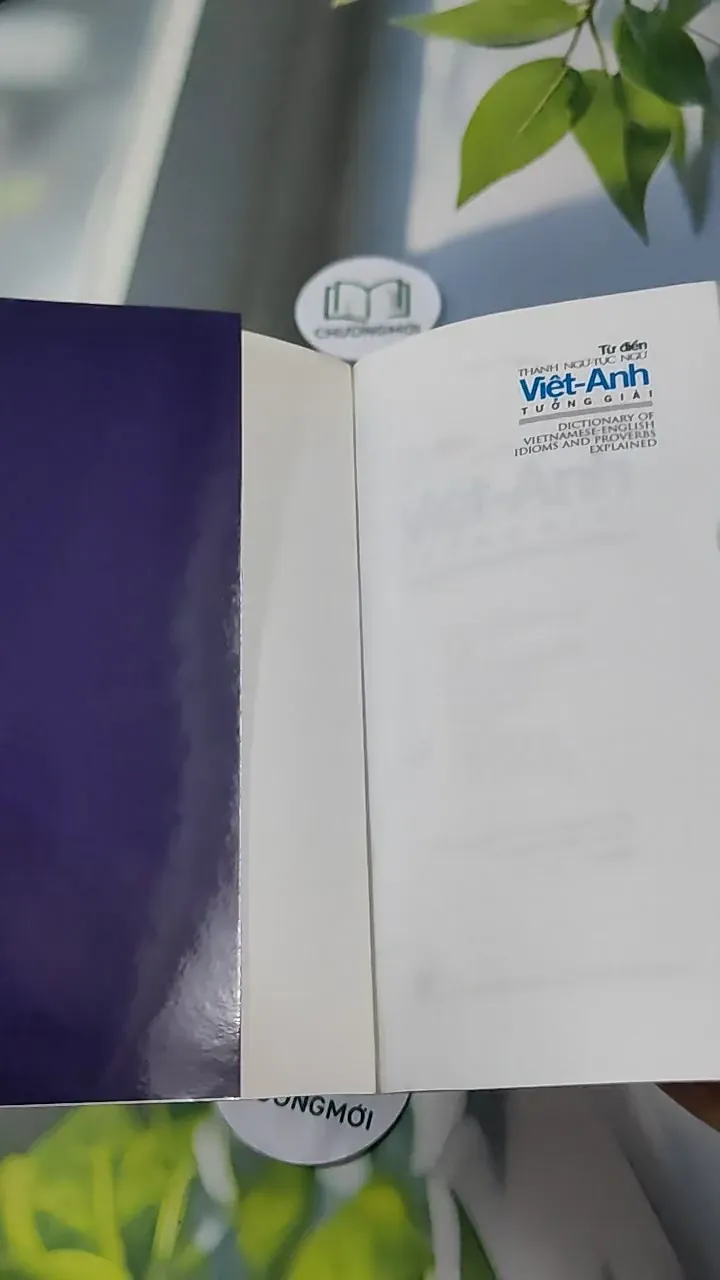 Từ Điển Thành Ngữ - Tục Ngữ Việt - Anh Tường Giải 727292