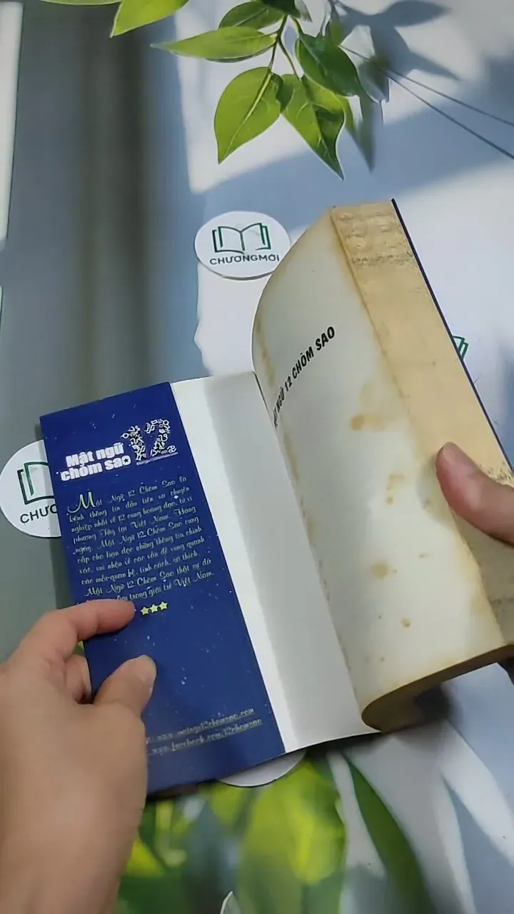 Mặt Ngữ 12 Chòm Sao 705674