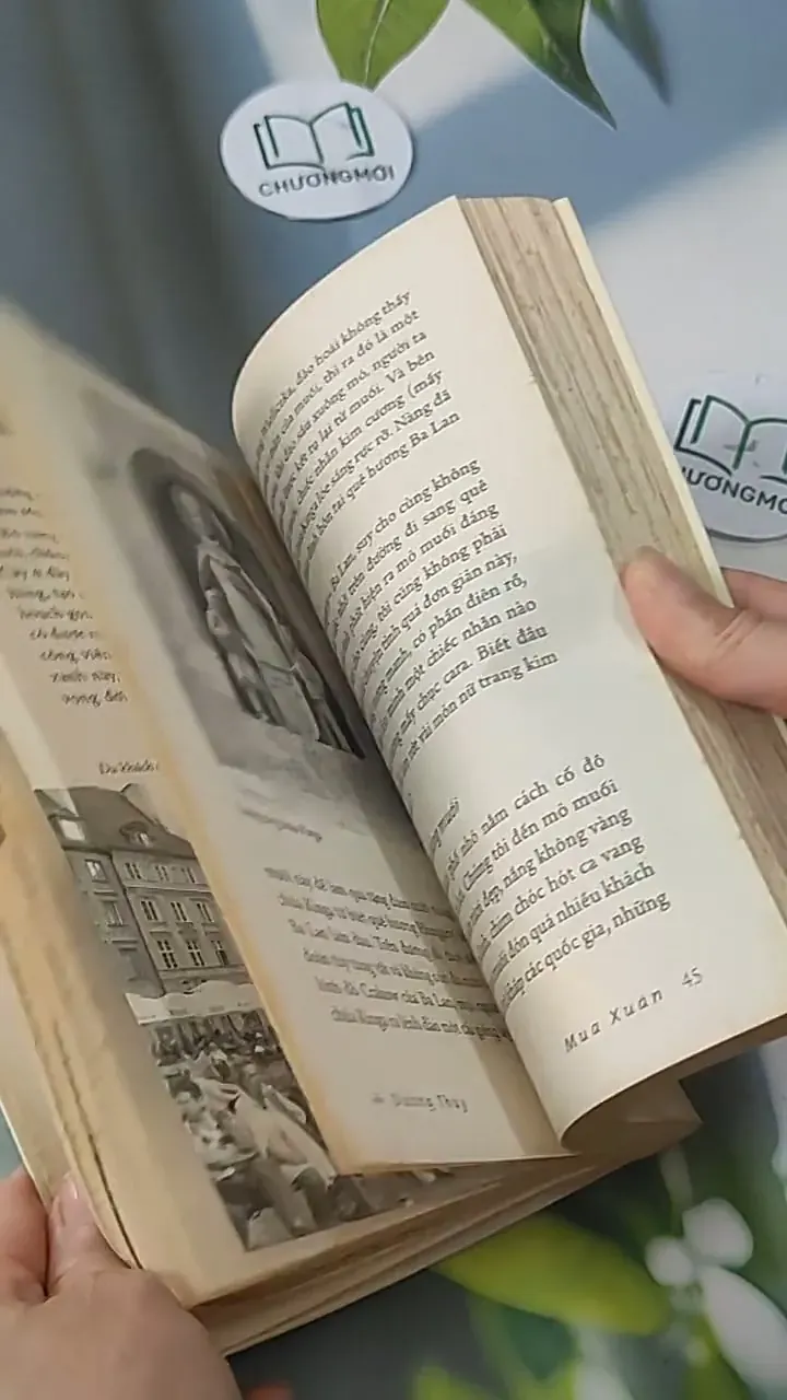 Trả Lại Nụ Hôn - Dương Thụy 705578