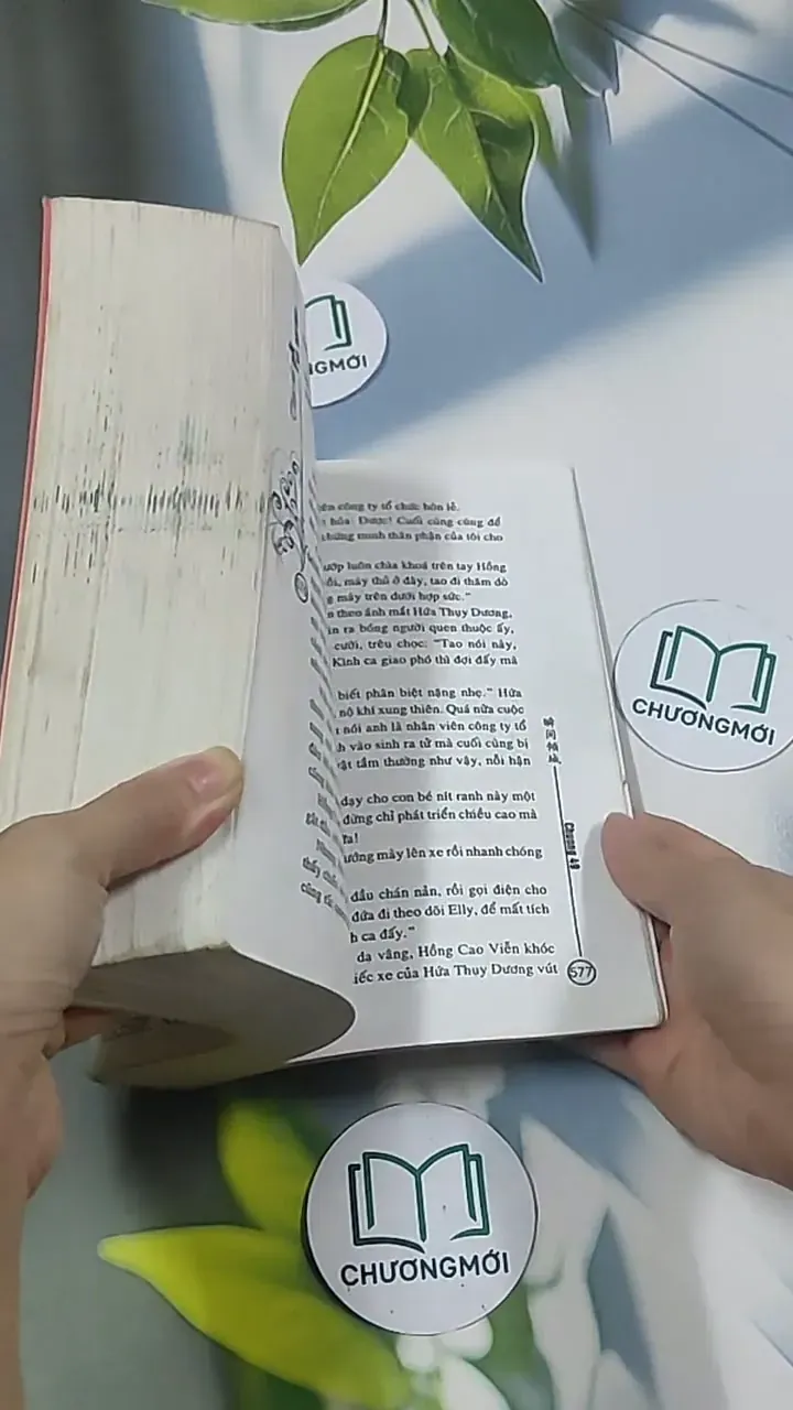 Thục nữ PK Xã hội đen - Thuần Giang Khuynh Thành 694995