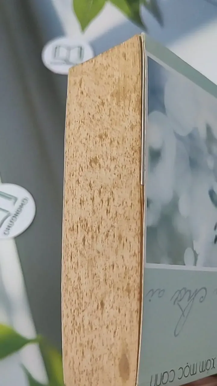 Ai Còn Chờ Ai Giữa Mùa Hoa Nở - Sói Xám Mọc Cánh 705627