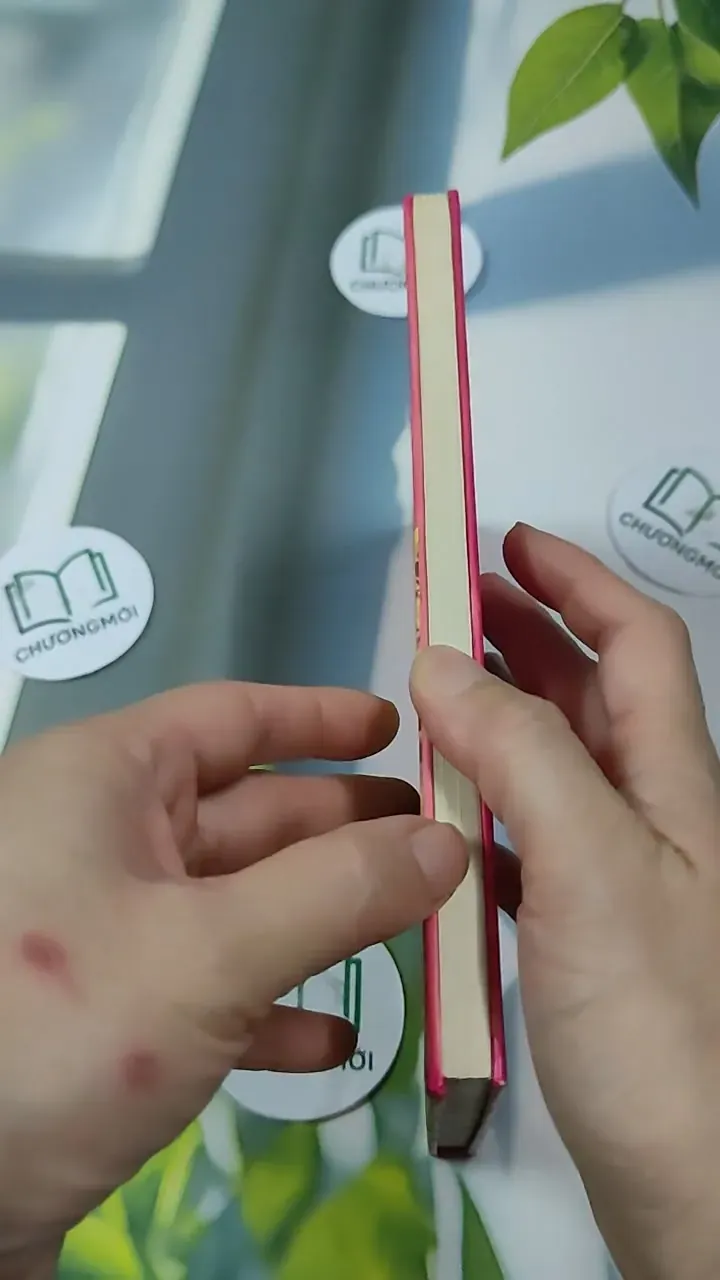 Bánh Tây Phương - Nguyễn Thu Dung & Nguyễn Thị Thanh Nhàn 727309