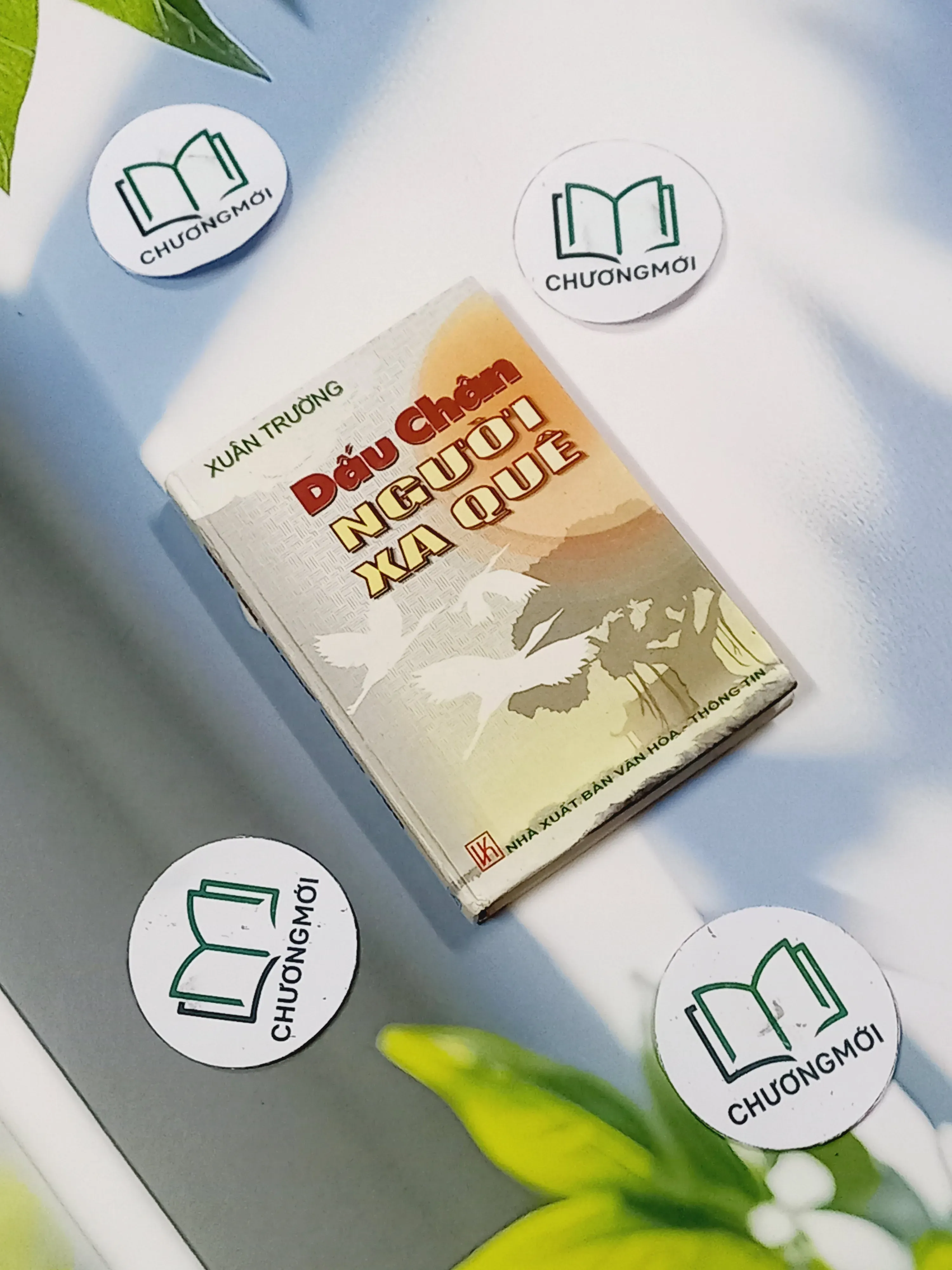 Dấu Chân Người Xưa Quê - Xuân Trường