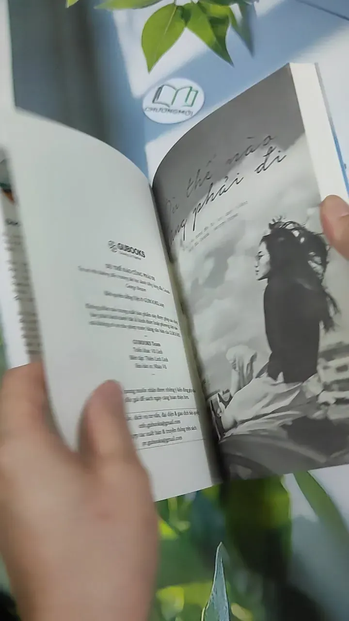 Dù Thế Nào Cũng Phải Đi - Đào Thu Hương 787128