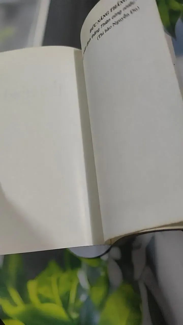 Đức Năng Thắng Số - Lê Phương Chi 727345