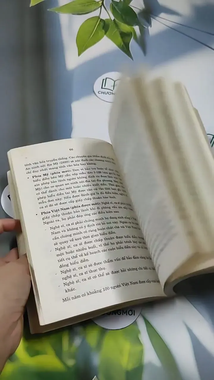 Bạn Muốn Đi Nước Ngoài? (Hỏi & Đáp Về Thủ Tục Cấp Visa Vào Các Nước 707254