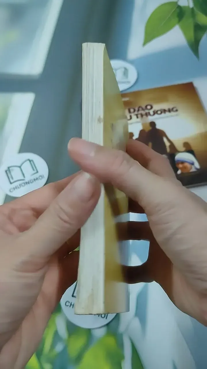 Combo: Kinh Thánh Thật Sự Dạy Gì, Đạo Yêu Thương 727295