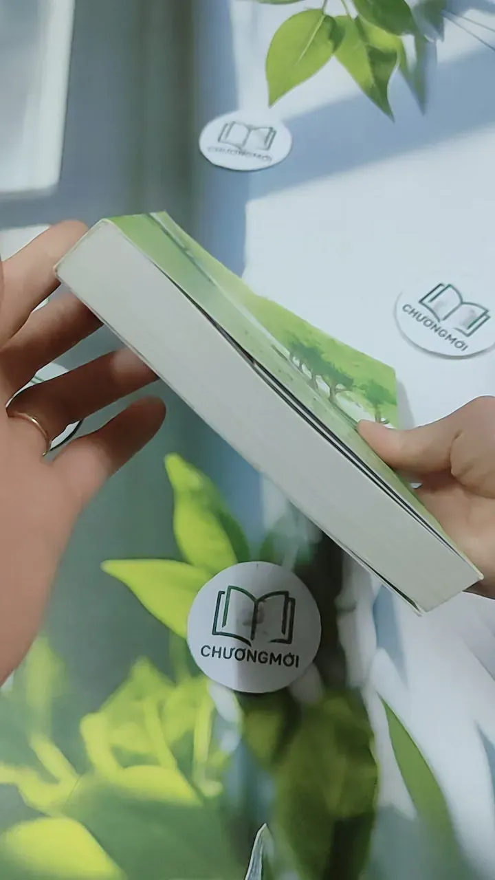 Yêu Là Thế - Diệp Lạc Vô Tâm 744752