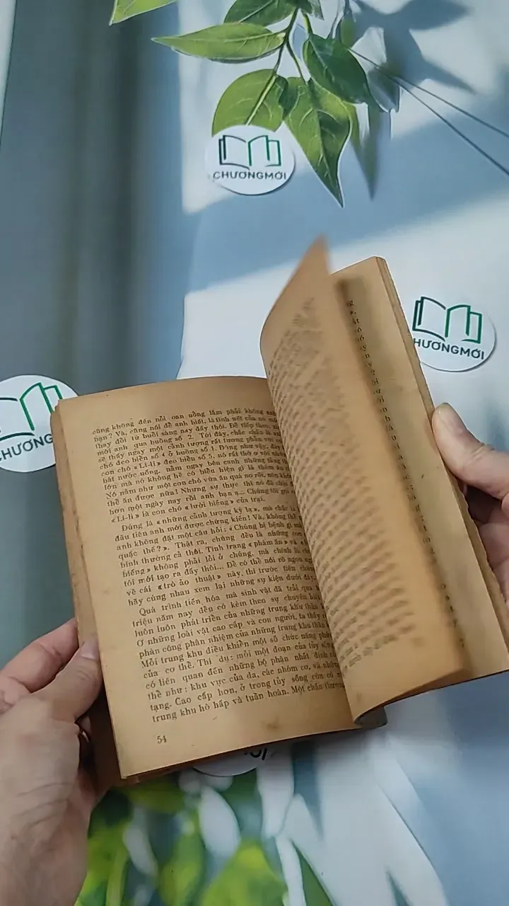 [XƯA] Bí Mật Đại Não (1982) - BS. Cao Trường Thọ 775987