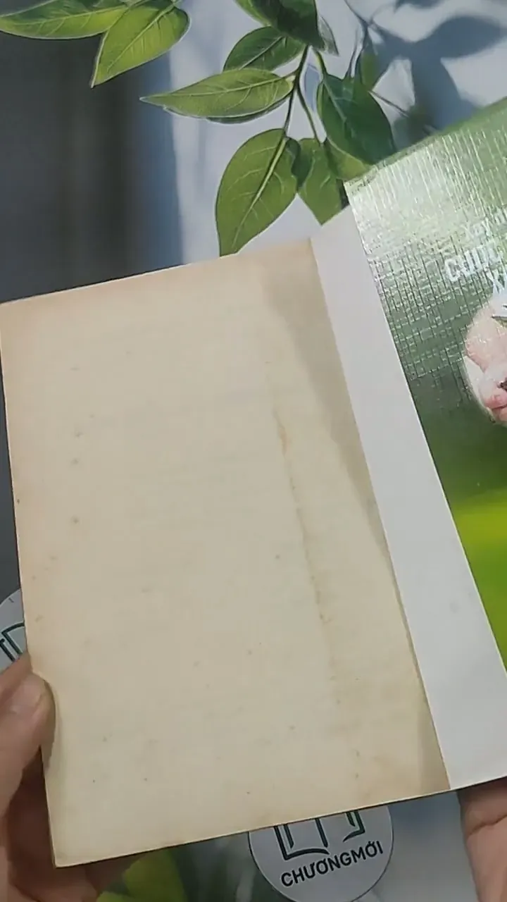 Xây dựng cuộc sống xanh -  Kim Phụng 694915