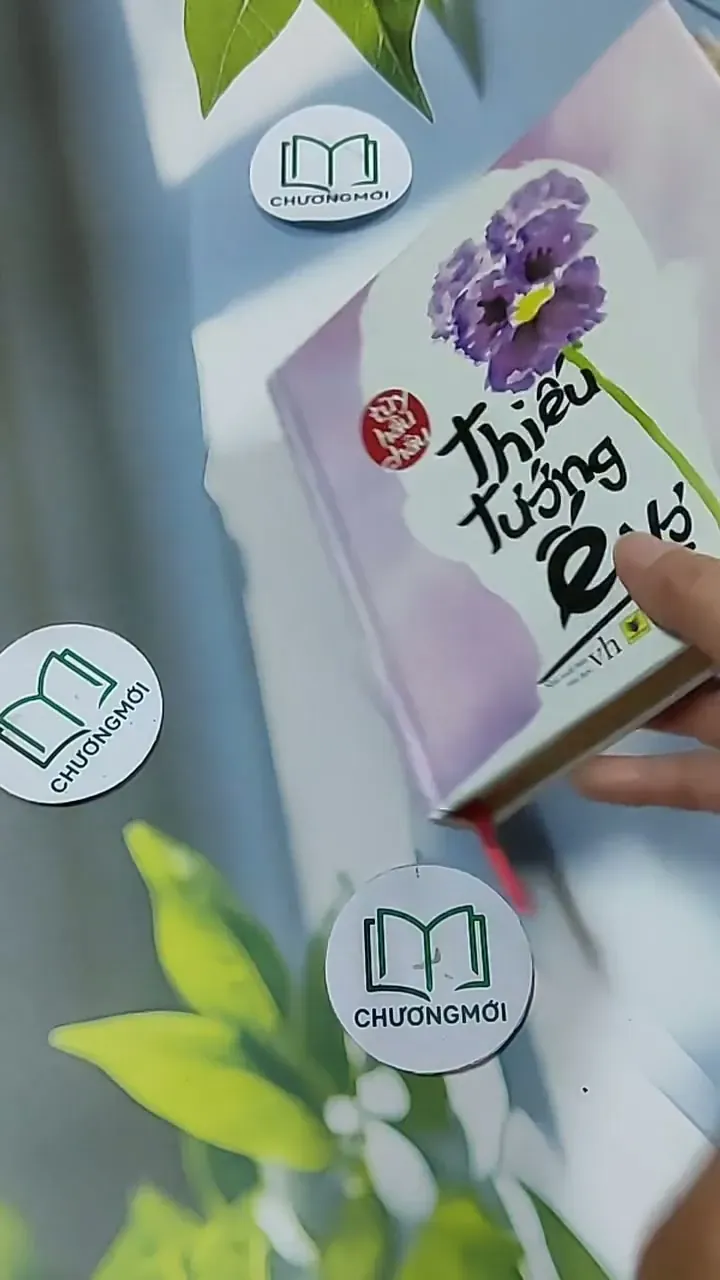 Thiếu Tướng Ế Vợ - Tuỳ Hầu Châu 703157