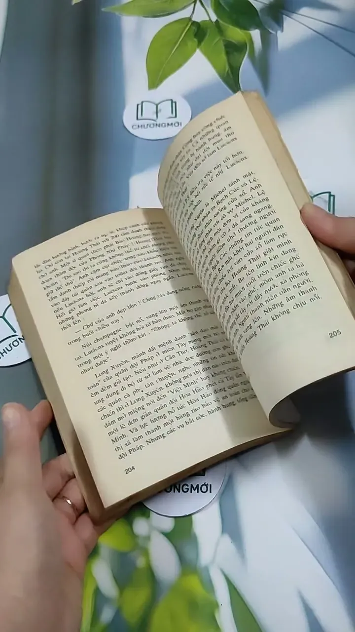 Người Đẹp Tây Đô (Tập 2) - Trầm Hương 713868