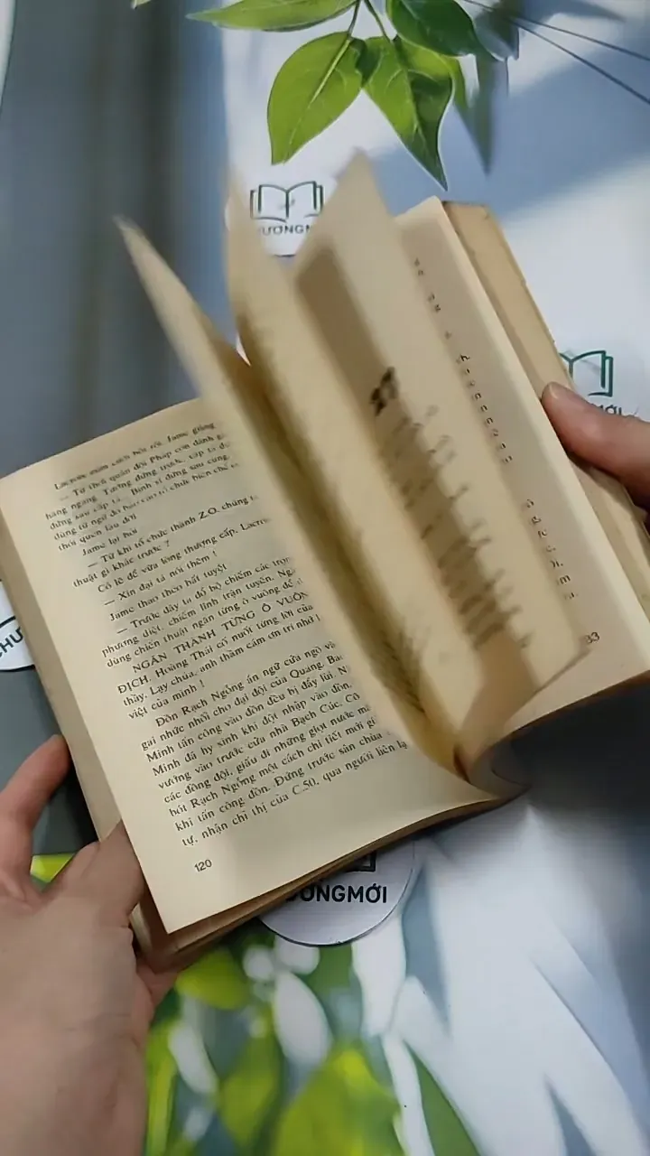 Người Đẹp Tây Đô (Tập 2) - Trầm Hương 713868