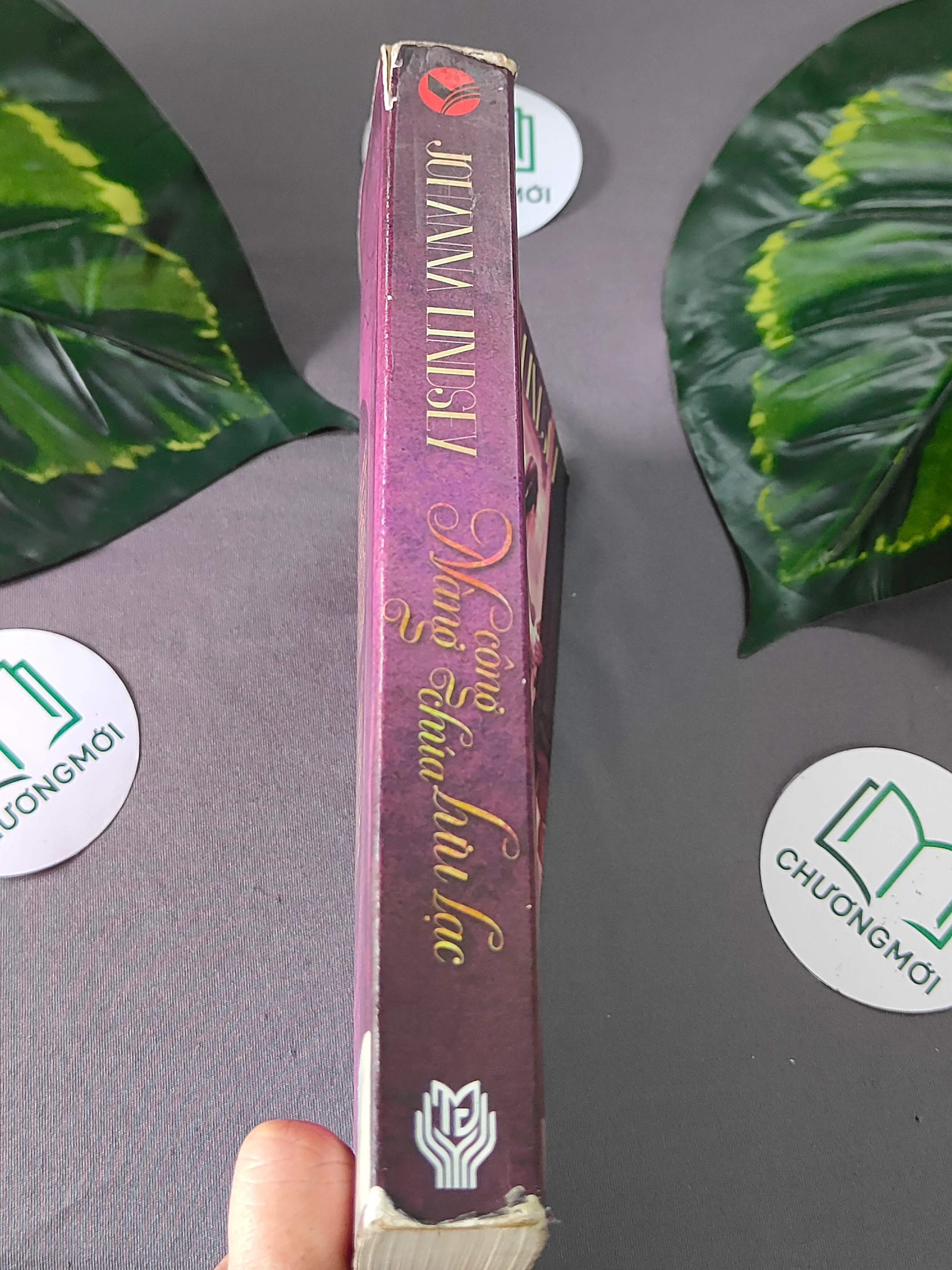 Nàng công chúa lưu lạc (2013) - Johanna Lindsey 603330