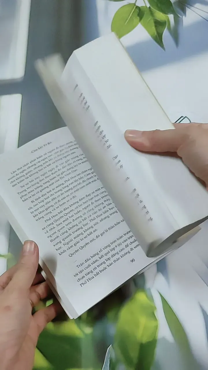 Giường Đơn Hay Giường Đôi - Cầm Sắt Tỳ Bà 744730