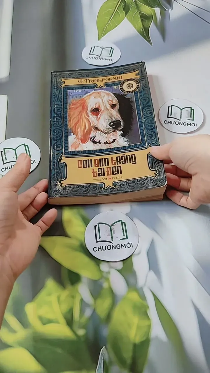 Con Bim Trắng Tai Đen 744686