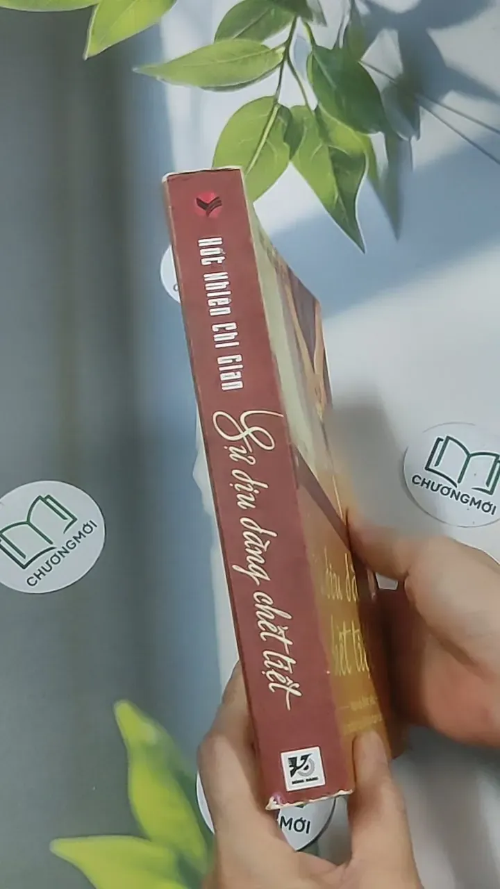 Sự dịu dàng chết tiệt - Hốt Nhiên Chi Gian 688628