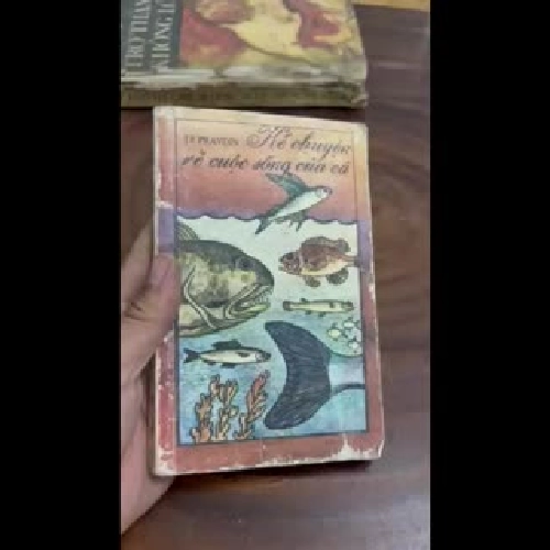 II Sách Liên Xô: Kể Chuyện Về Cuộc Sống Của Cá - I.F. PRAVDIN - 1989