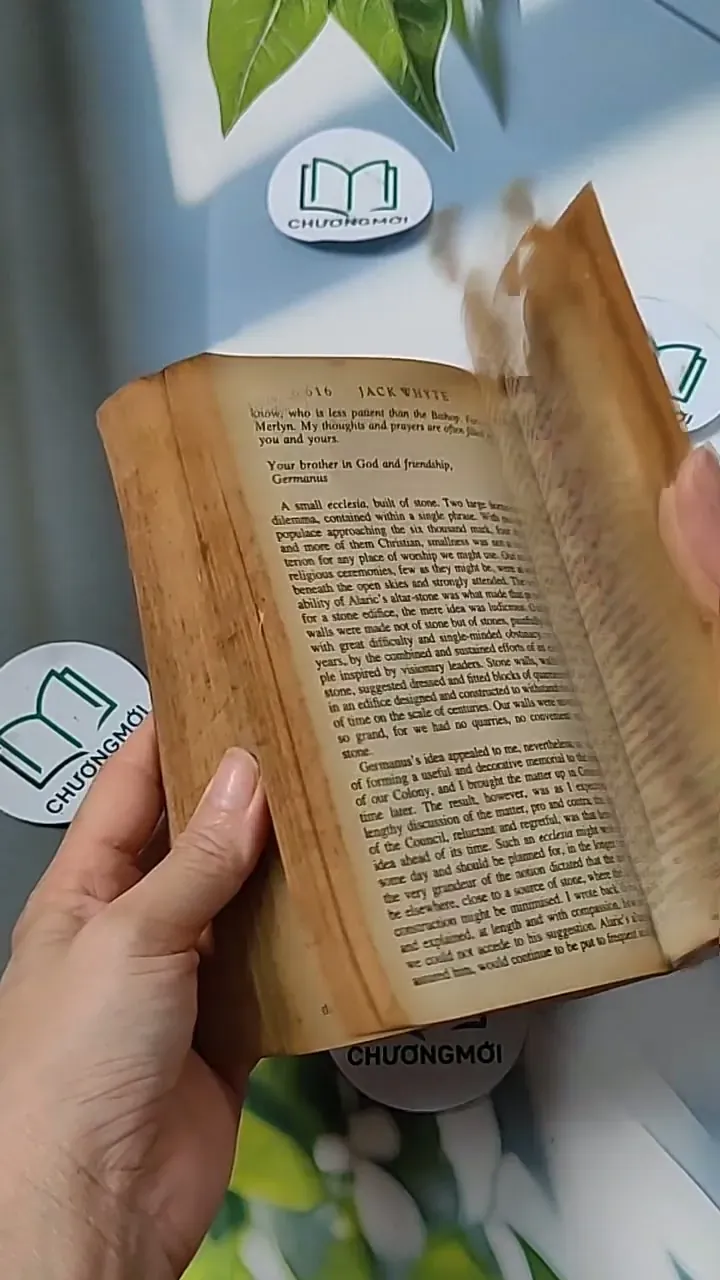 [MIỄN PHÍ BỌC SÁCH] The Saxon Shore - Jack Whyte 703080