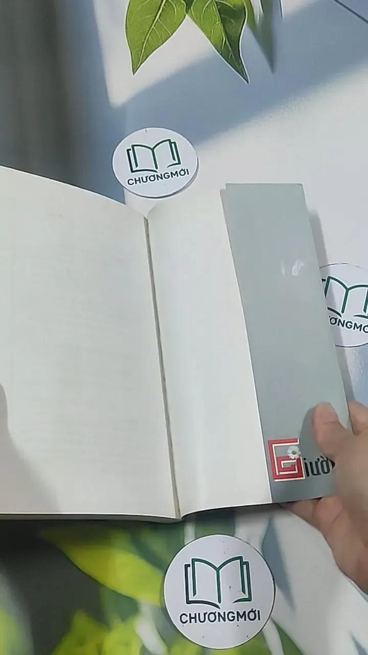 Giường - Phan An 694986